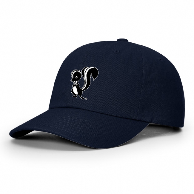 Skunk Works Premium Cotton Hat #5