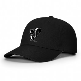 Skunk Works Premium Cotton Hat
